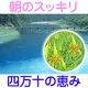 溜め込んでいませんか？朝のトイレタイムを応援！！マイセリーナのすくすくあろえ村/モニター・サンプル企画