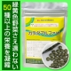 10～16歳の野菜不足のお子様へ「成長期の定番！カラダアルファ(&alpha;)」を30日分/モニター・サンプル企画