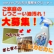 イベント「ご家庭のギトギト汚れを大募集！アルカリ電解水みずえさんプレゼント（25名）」の画像