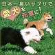 【日本一臭いサプリで日本中の愛犬を元気にするキャンペーン！】５０名様！/モニター・サンプル企画