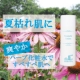 【夏枯れ肌に】 ハーブ化粧水でさっぱり、すべすべ肌へ。10名/モニター・サンプル企画
