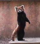 akyamamoto1959さんのプロフィール画像