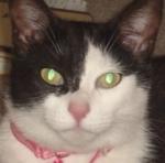 すずめぽっぽさんのプロフィール画像