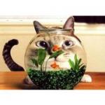 owlishさんのプロフィール画像