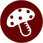 ノブコフさんのプロフィール画像