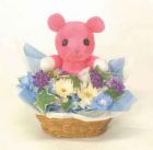 さぁさんのプロフィール画像