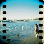 spinelさんのプロフィール画像