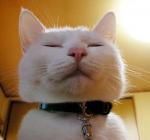 ishidapikariさんのプロフィール画像