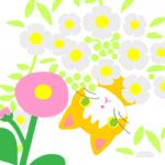 tomotomo67さんのプロフィール画像