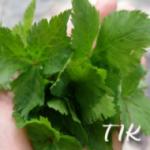 tikさんのプロフィール画像