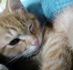 hime07さんのプロフィール画像