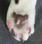 ethuさんのプロフィール画像