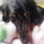 ゆうさんのプロフィール画像