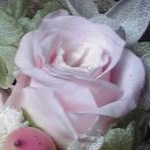 らんらん納豆さんのプロフィール画像