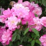 gigaeaterさんのプロフィール画像