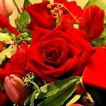 seanaさんのプロフィール画像