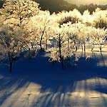 HIROさんのプロフィール画像