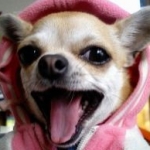 onotomoさんのプロフィール画像