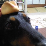 まろママさんのプロフィール画像