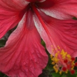 cheeese7127さんのプロフィール画像