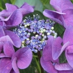 oojetさんのプロフィール画像