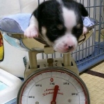 ekkaさんのプロフィール画像