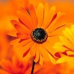 ぶべたさんのプロフィール画像