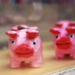 ぱんかめさんのプロフィール画像