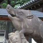 こ　たさんのプロフィール画像