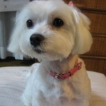 紅葉さんのプロフィール画像