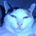 だいごろさんさんのプロフィール画像