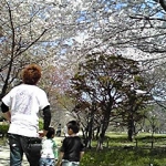 ひまりママさんのプロフィール画像