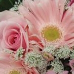 aokiさんのプロフィール画像