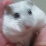 HANAさんのプロフィール画像