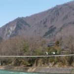 ふうせんかずら