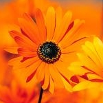 ひろ。さんのプロフィール画像