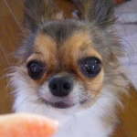 るーこにゃんさんのプロフィール画像