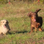 百莉ママさんのプロフィール画像