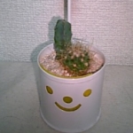 にじさんのプロフィール画像