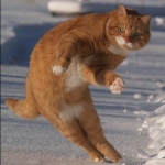 senchangさんのプロフィール画像