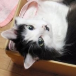 みきさんのプロフィール画像