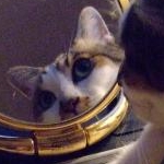 肝油ドロップさんのプロフィール画像