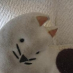 youさんのプロフィール画像