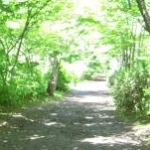 いくさんのプロフィール画像