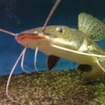 pqt*h*61さんのプロフィール画像