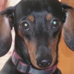 gre**n28さんのプロフィール画像