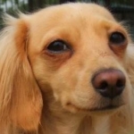 るなちさんのプロフィール画像