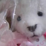 モノモノさんのプロフィール画像