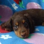 まろんさんのプロフィール画像