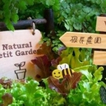 根岸農園さんのプロフィール画像